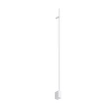 LASER 100 FALIKAR MYLAMP BY ZENGOVARI